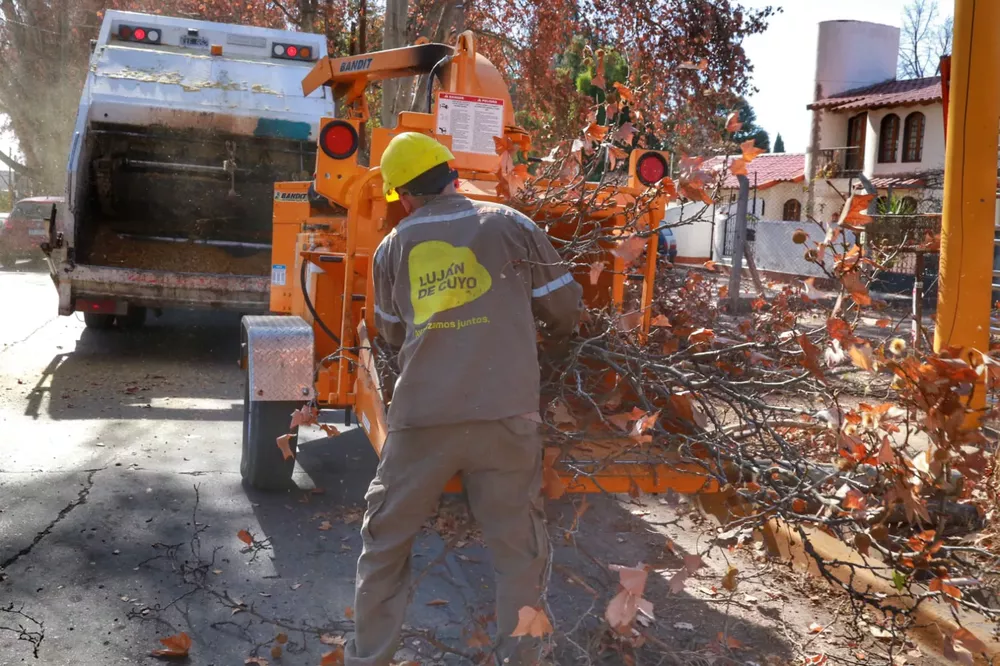 Continúa la poda en Luján de Cuyo