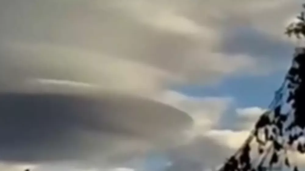Diseño sin título