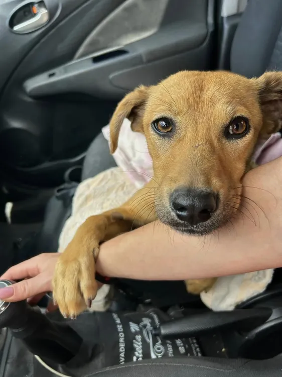 408910367_660856206218391_3583363466363794010_n