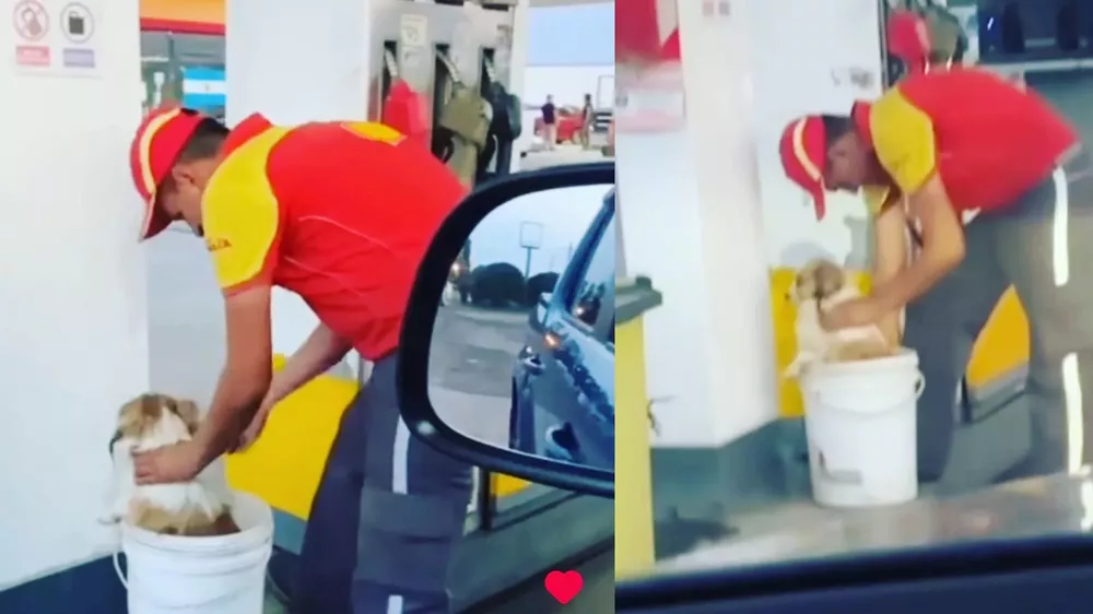 Diseño sin título