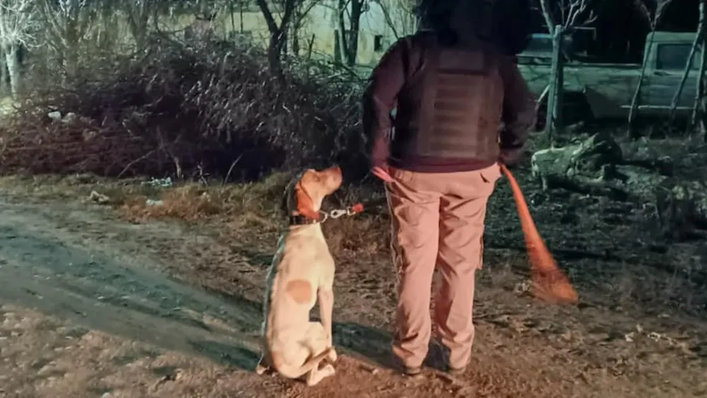 Fito el perro policía de Mendoza