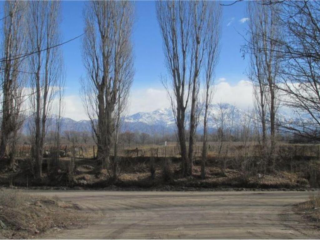 1627395395344Tres-Esquinas-San-Carlos-Gentileza