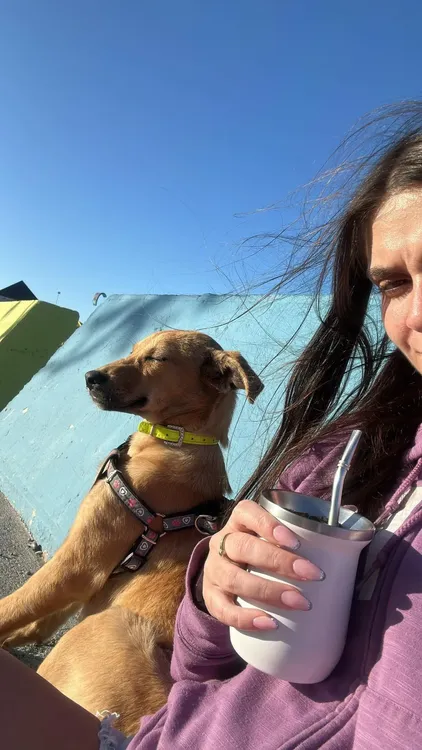 408285397_660856159551729_3328354988270009472_n