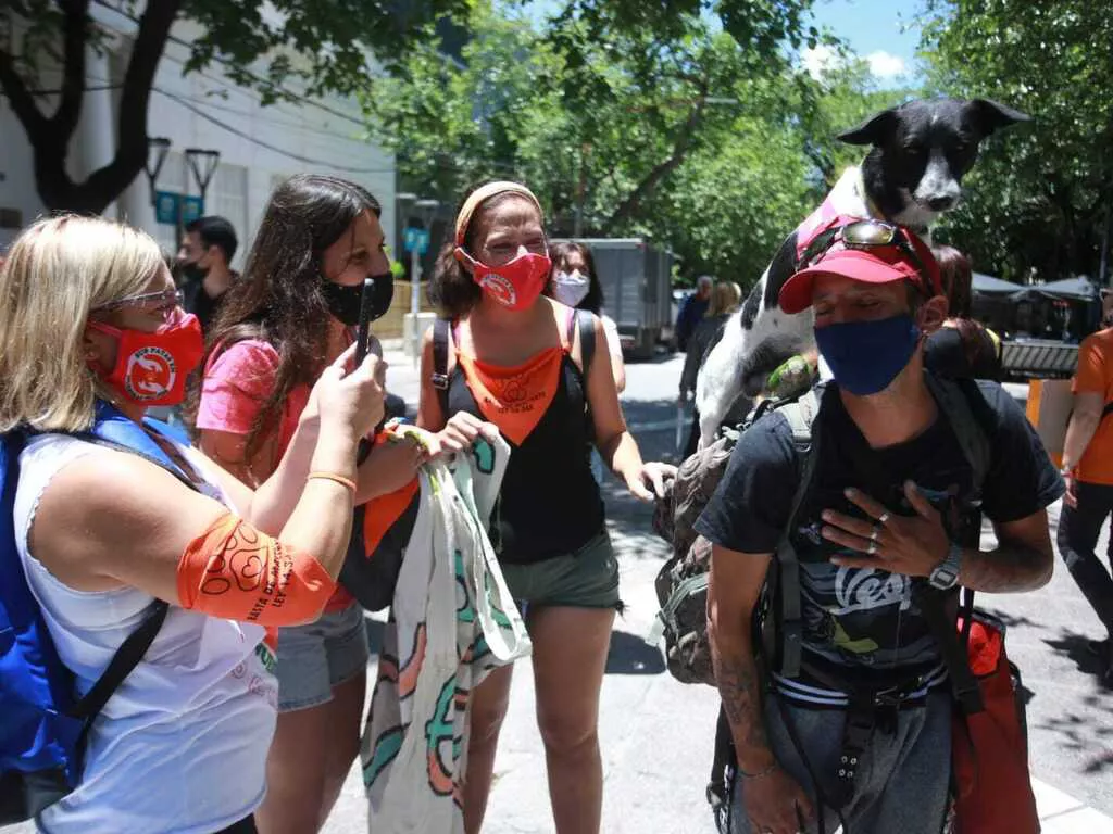 1639155334526Protesta perros