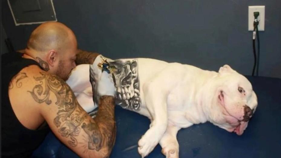 tatuajes-perros