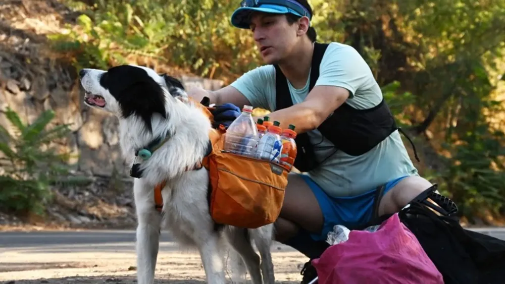 Promoviendo el Plogging