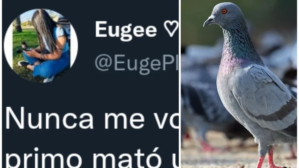 twitter_paloma_viral_x2x_1_crop1632679309902.jpg_1734428432