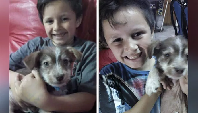 Niño-salvo-a-un-perro-maltratado-y-lo-adopto-696x398