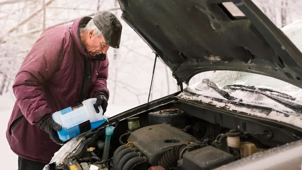 Diseño sin título (2)