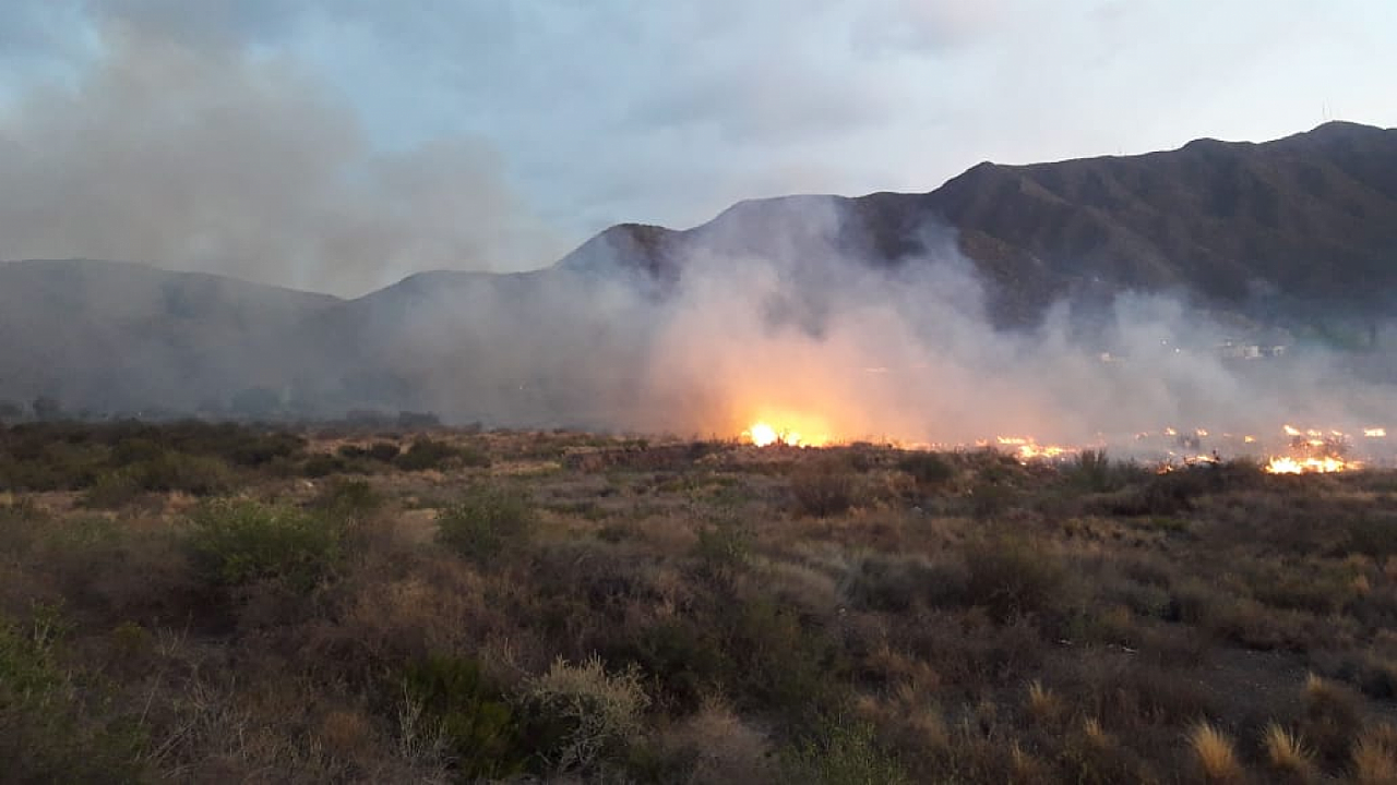 fuego(1)