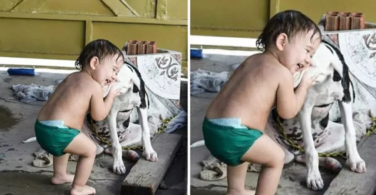 perro-reencuentro-nino-familia-perdido-escapar1