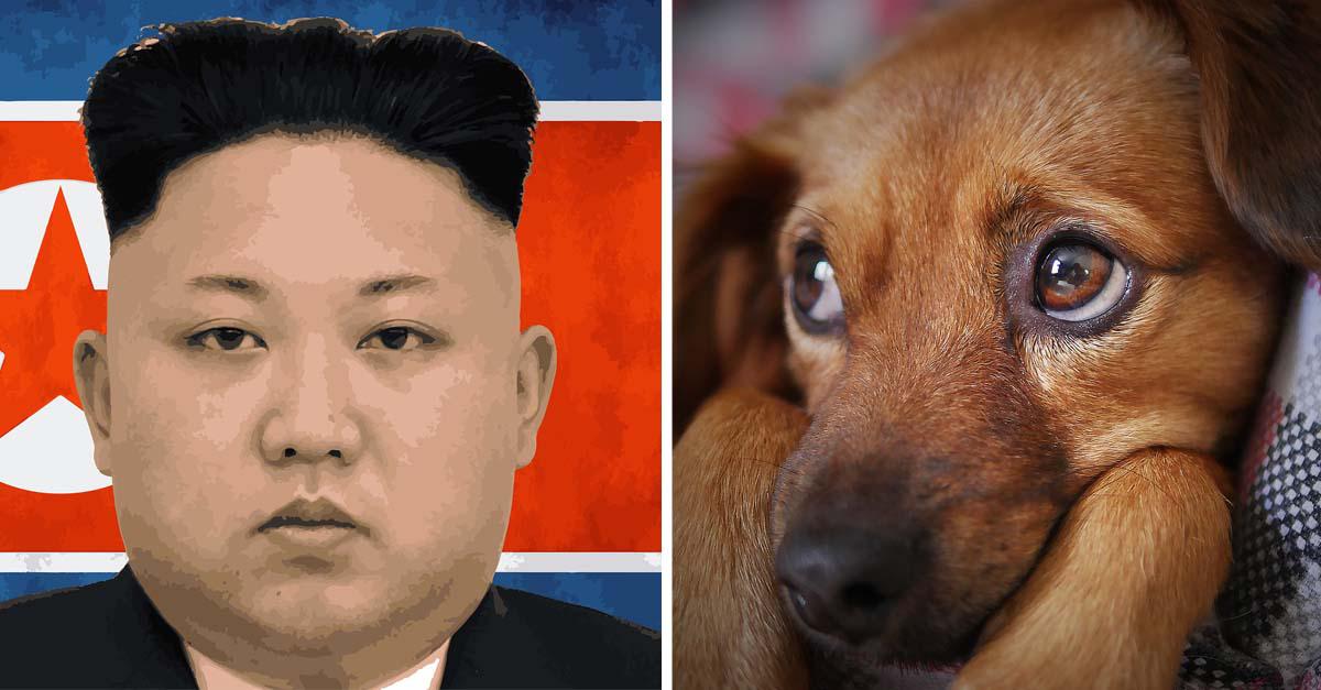 Ordenan-a-los-norcoreanos-que-entreguen-a-sus-perros-como-alimento