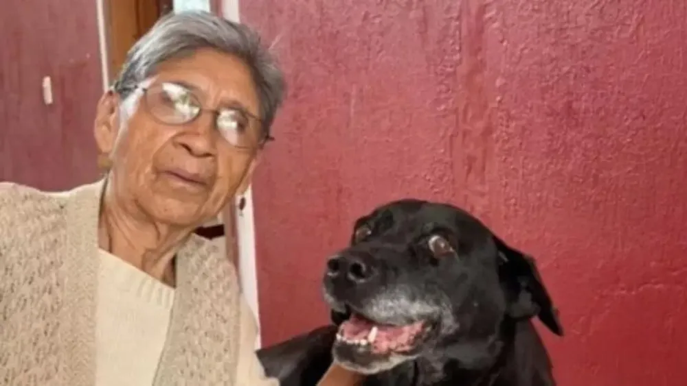 Abuela despide a su perrito