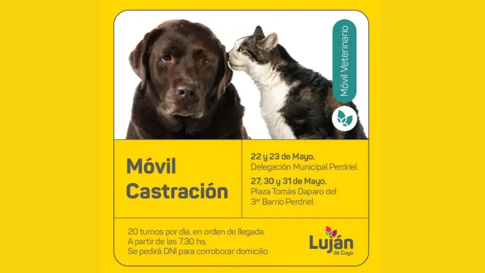 Nueva jornada de castración y vacunación para mascotas en Perdriel