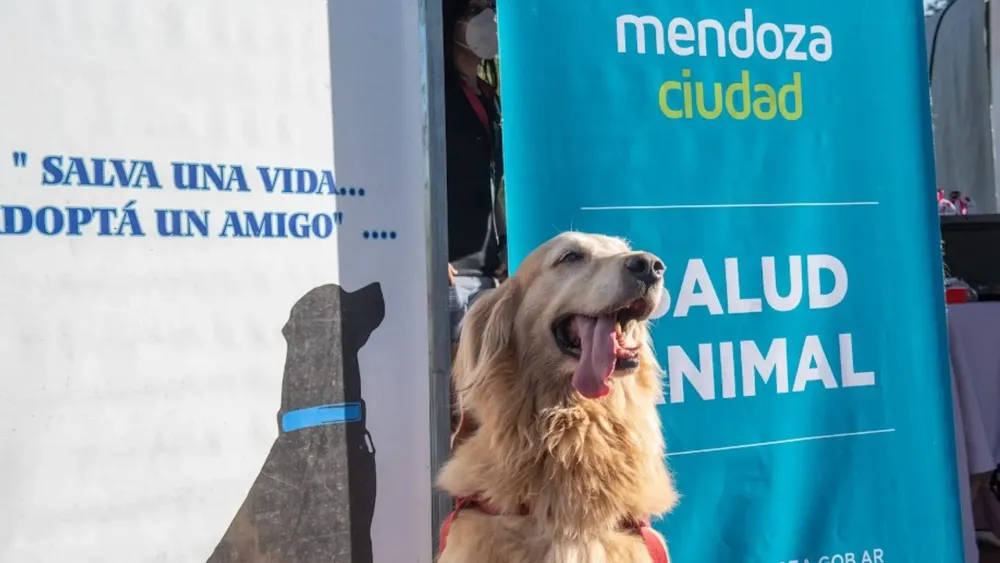 Vecinos asistiendo con mascotas al móvil veterinario en Mendoza