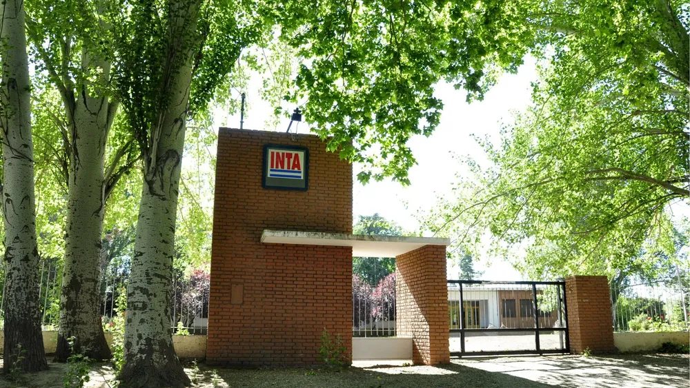 INTA