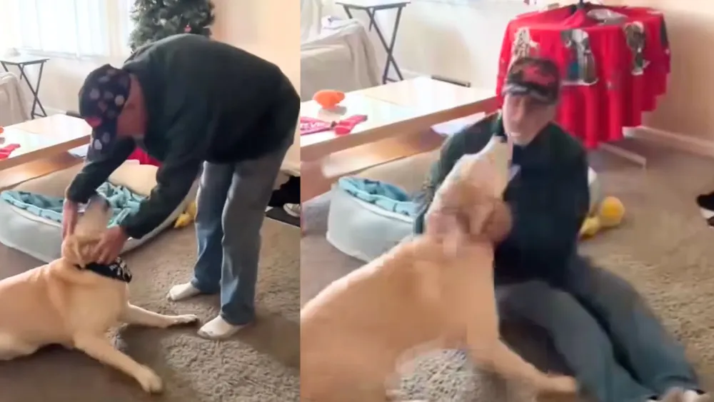Un Gestor de Esperanza para el Perrito Rescatado