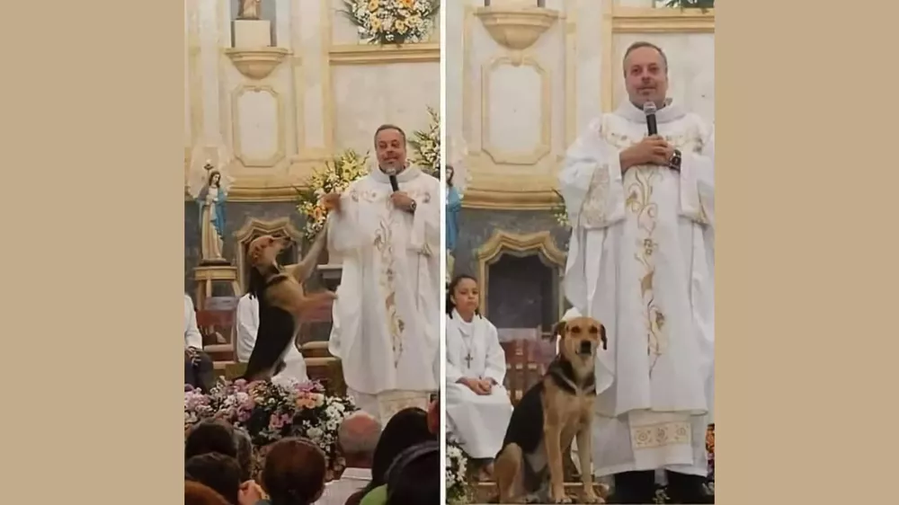 Diseño sin título