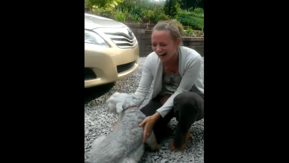 Diseño sin título (2)