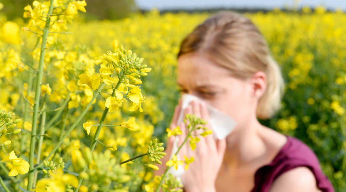 Cómo Afrontar Los Síntomas De La “alergia De Primavera”