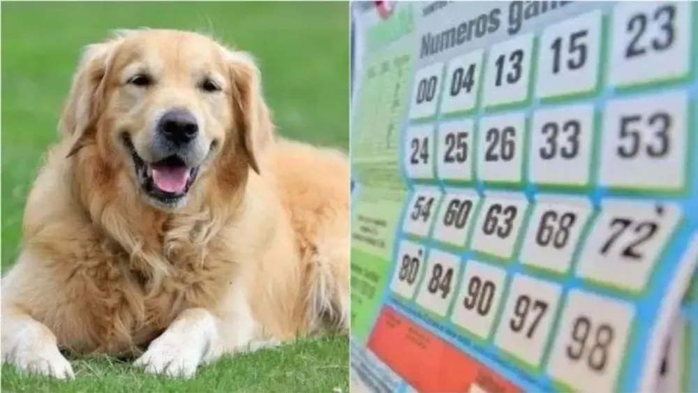 Ganó la lotería gracias a su perro