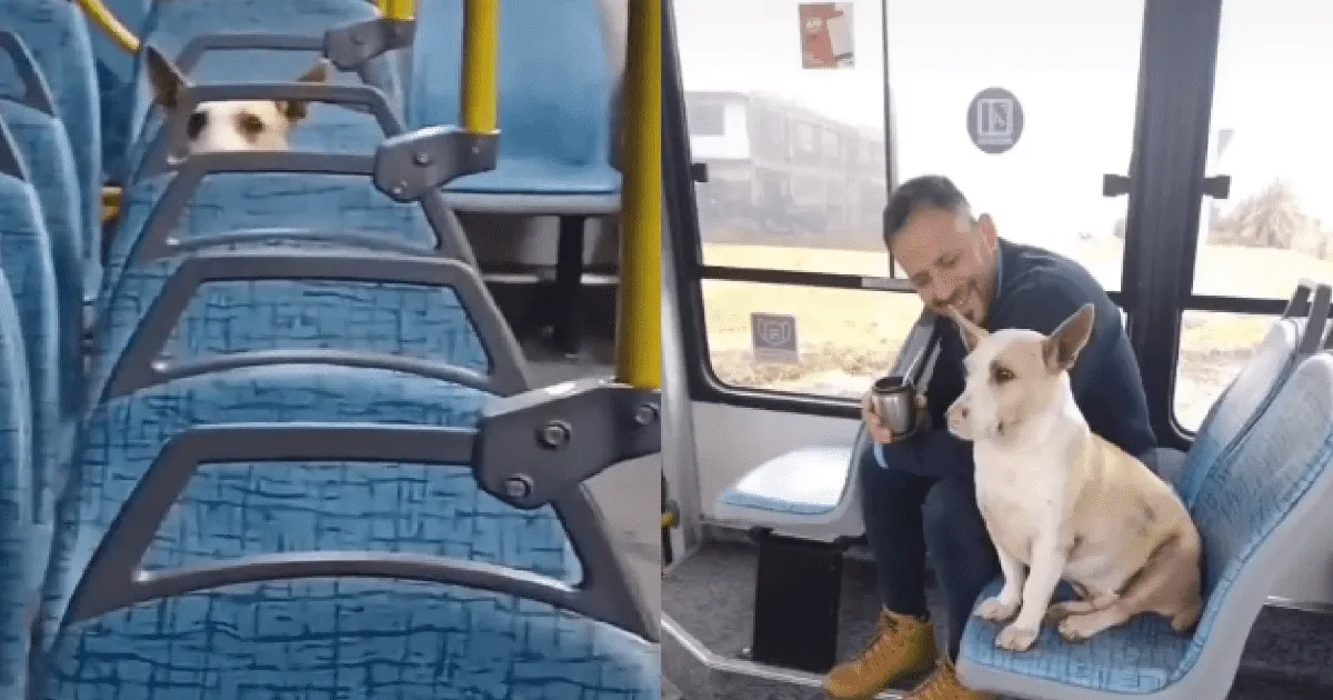tiktok-viral_crop1661894630970.png_673822677