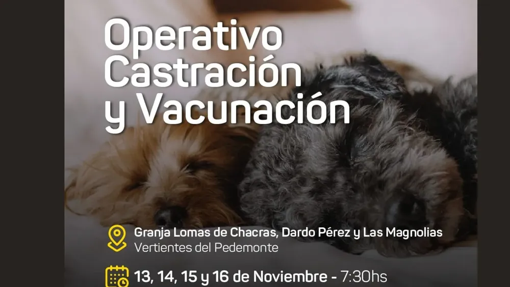 Diseño sin título