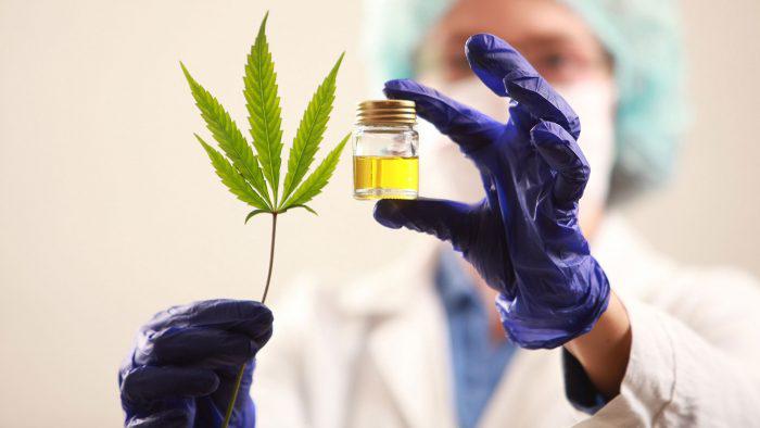 cannabis-medicinal-700x394