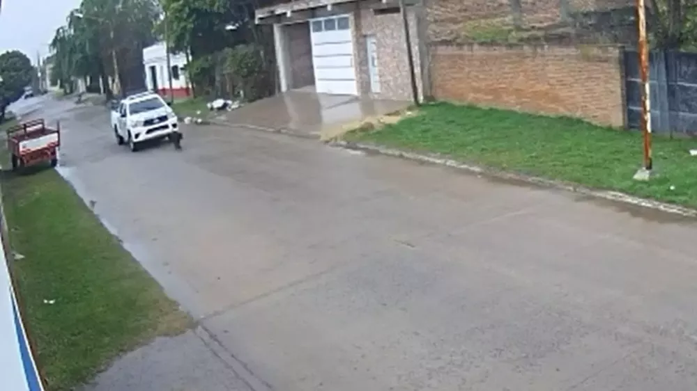 1656530348181perro atropellado