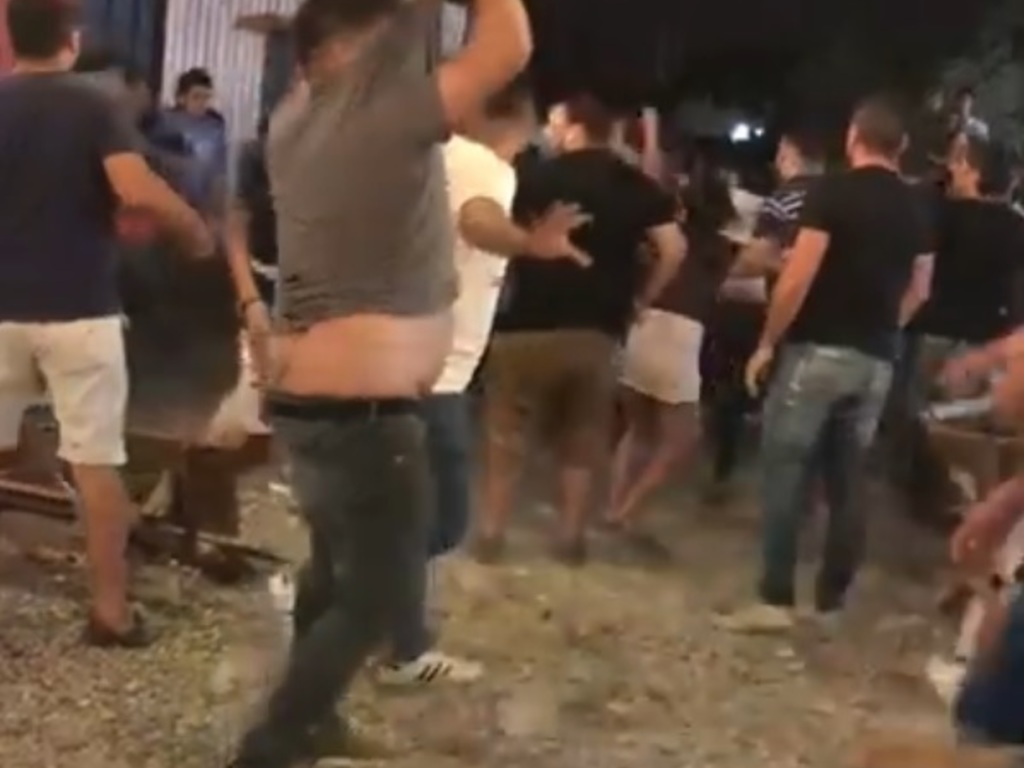 1549827305017piñadera