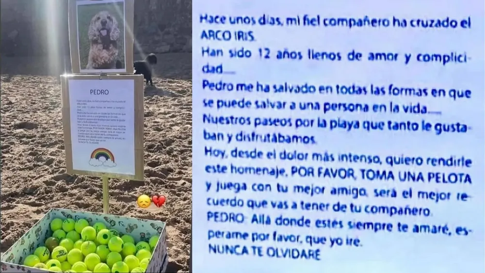 Mensaje a perrito fallecido