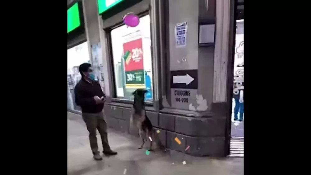 Diseño sin título