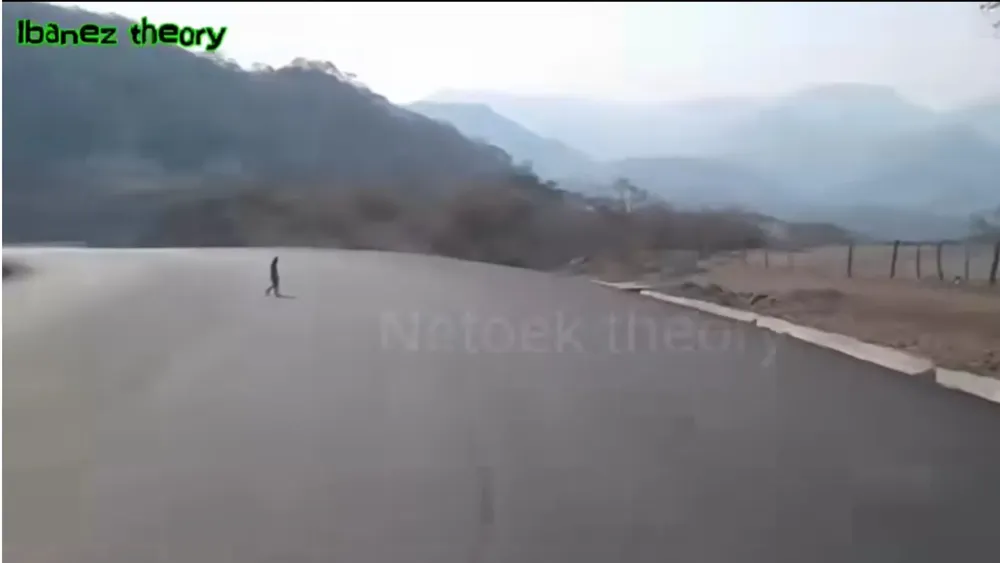 Diseño sin título (2)