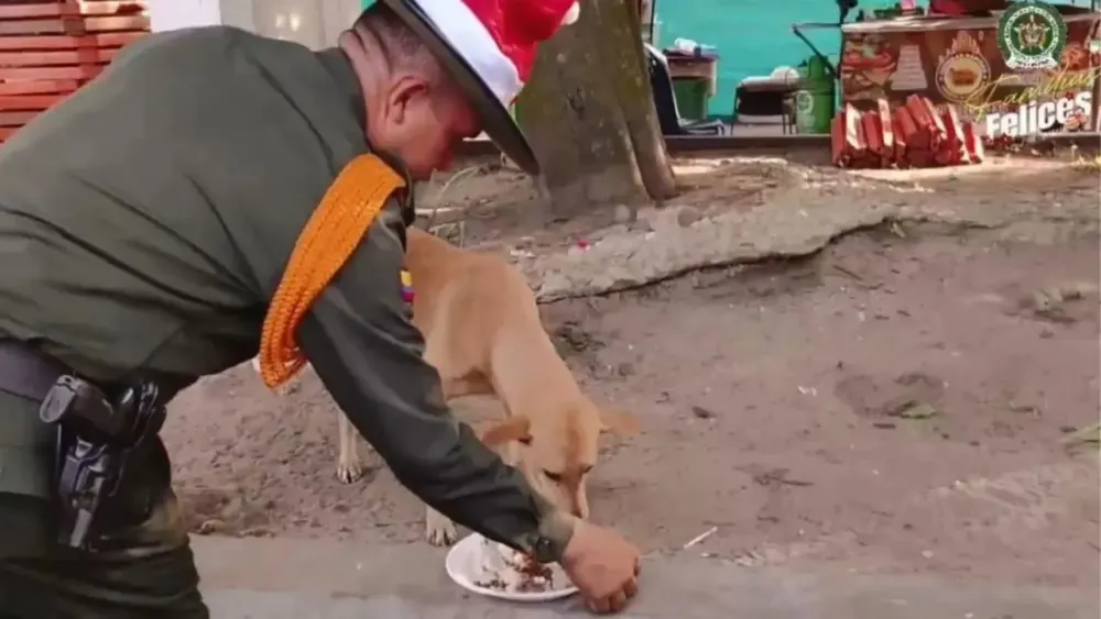 Policía ayuda a perritos abandonados