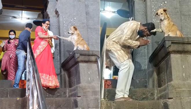 Un-perro-se-volvió-viral-por-dar-22la-bendición22-afuera-de-un-templo
