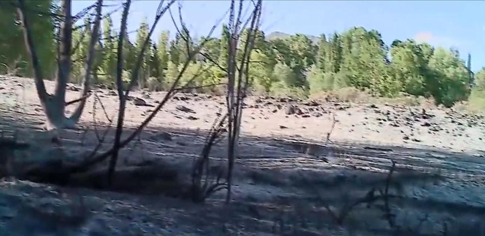 INCENDIO