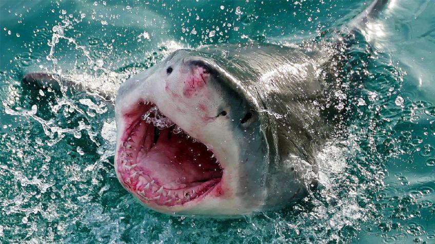 f848x477-956504_1014307_5050