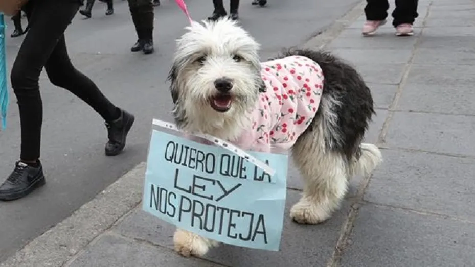 reclamo