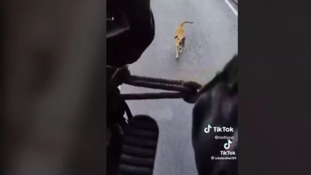 Añadir un título (1)
