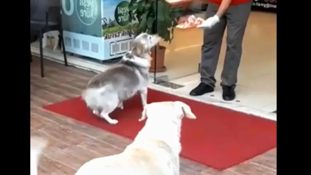 presentacion medicina y salud ilustrativo infantil celeste (1)