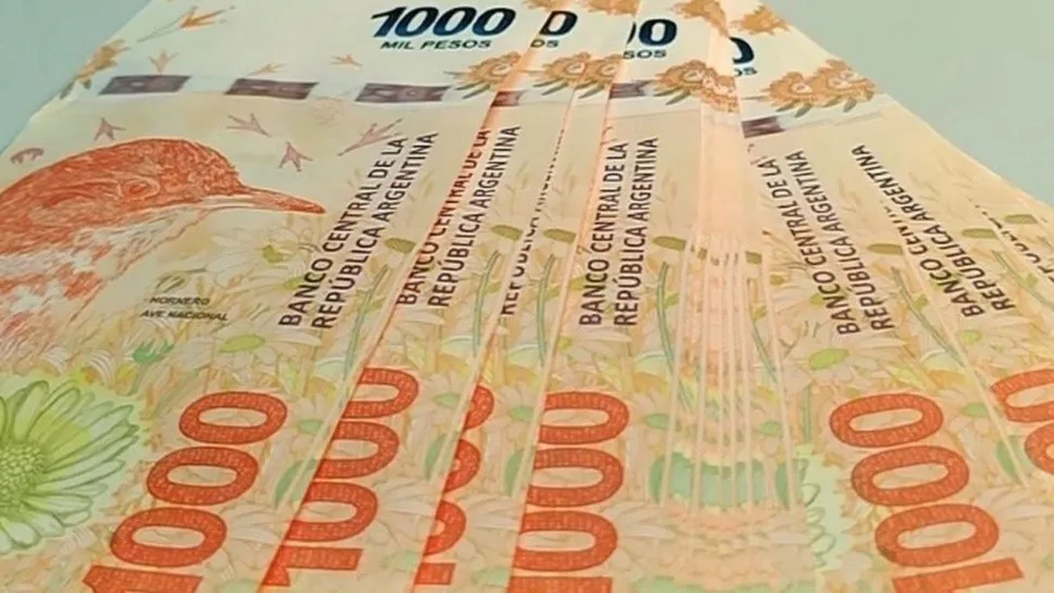 anses_1000_pesos_1_crop1643207977566.jpg_966076397