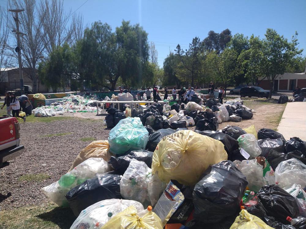 Las botellas fueron llevadas al Centro Verde