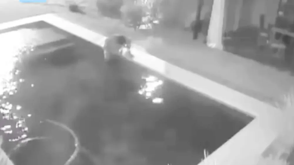 Ladrón ahoga a un perrito