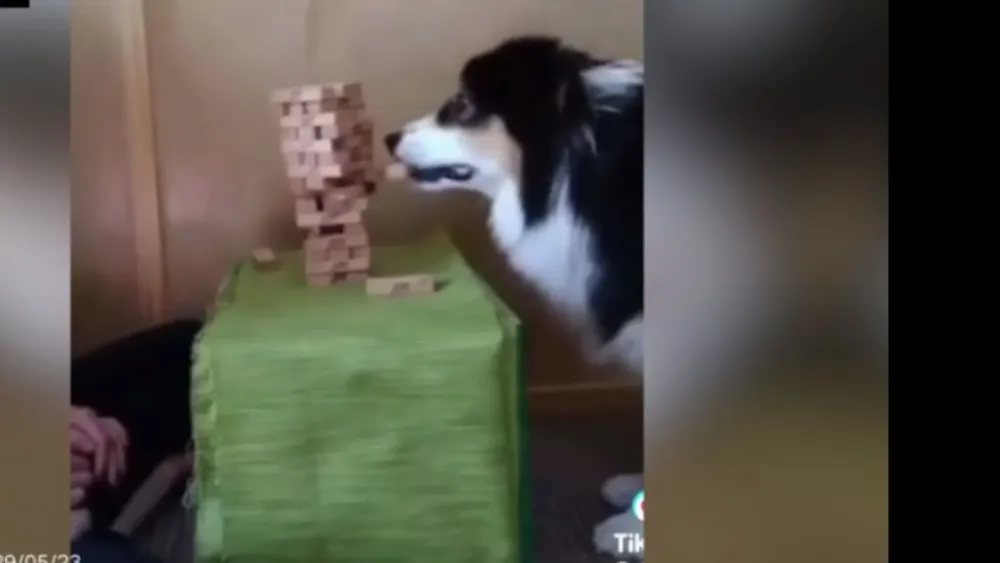 presentacion medicina y salud ilustrativo infantil celeste