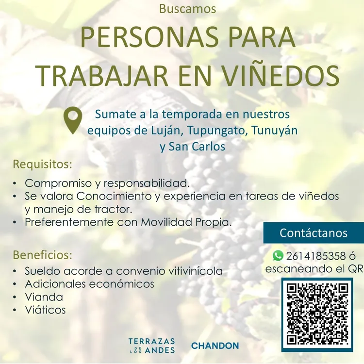 530661801_24216878911313428_7019126338022552073_n