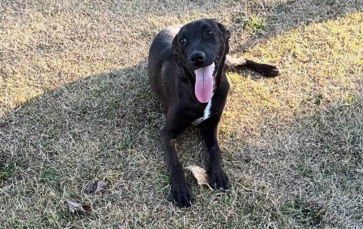 353642732_763135039146132_2580322611456312005_n (1)