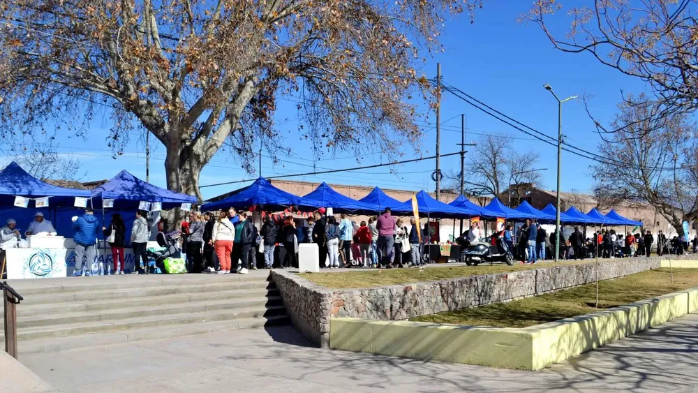 Del productor al consumidor