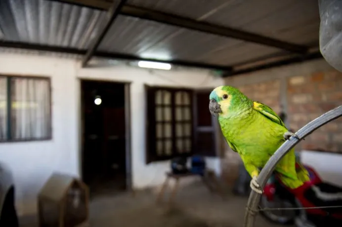 loro-lorenzojpg