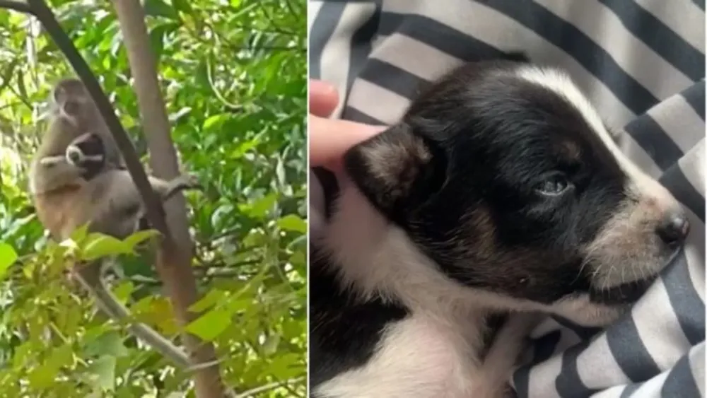 presentacion medicina y salud ilustrativo infantil celeste