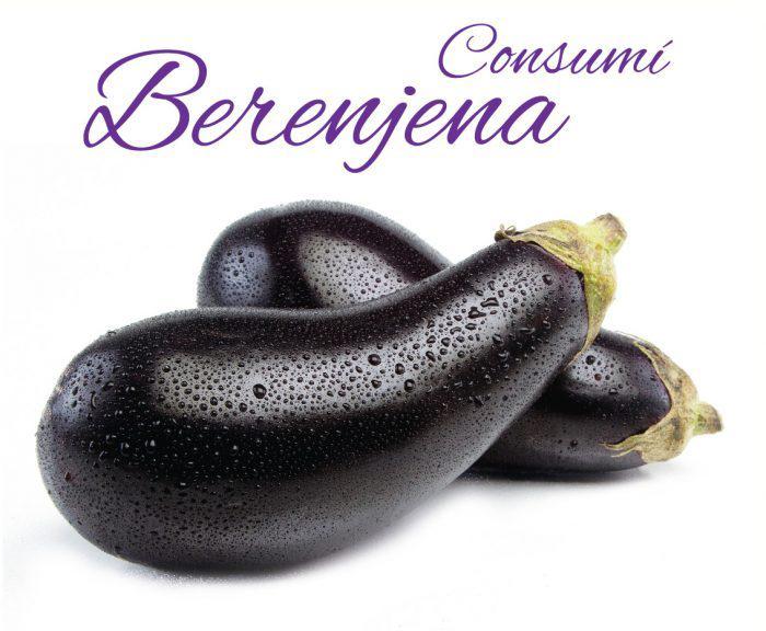 placa-berenjena-700x717